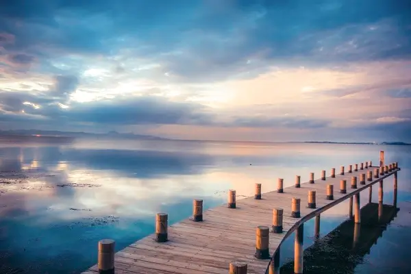 香水合作公司排名前十